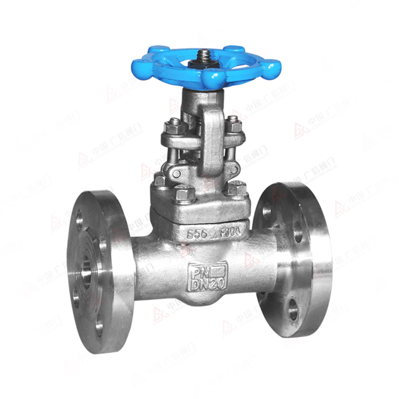 Stainless steel forged steel gate valve